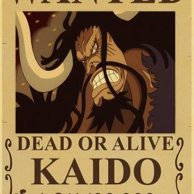 Poster-Wanted-Kaido